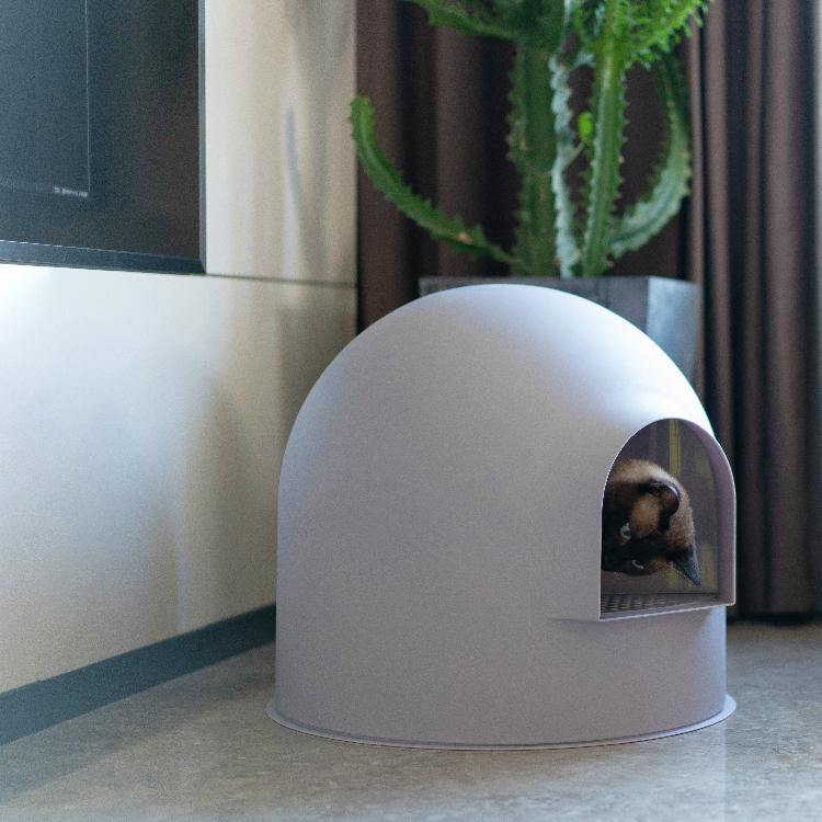 Igloo snow cat outlet litter