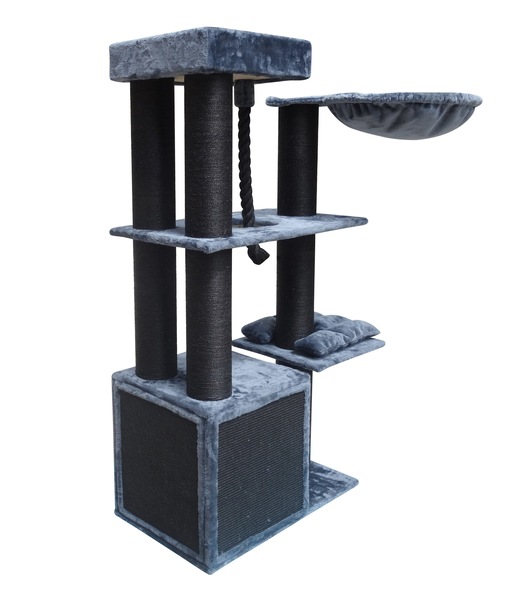 Image 4