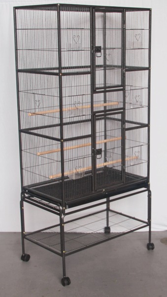 Image 2