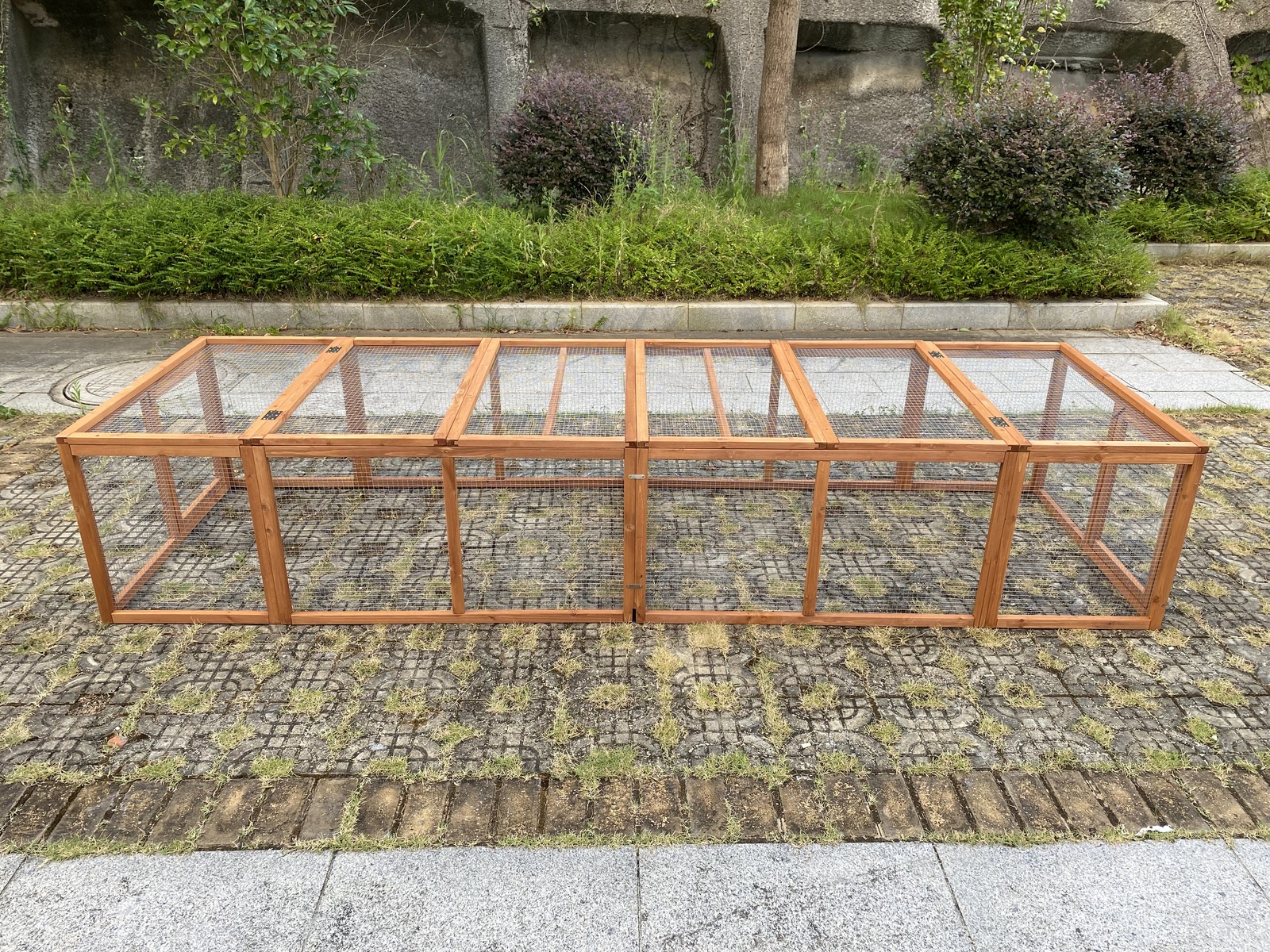 Image 5