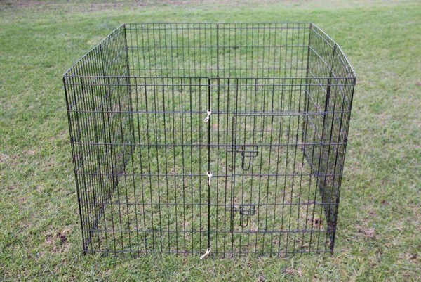 Image 2