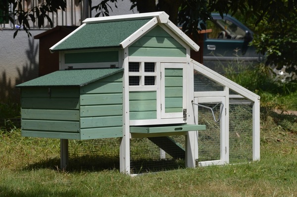Image 6