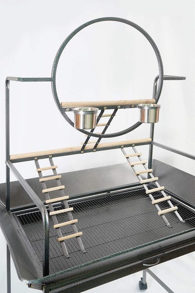 Image 2