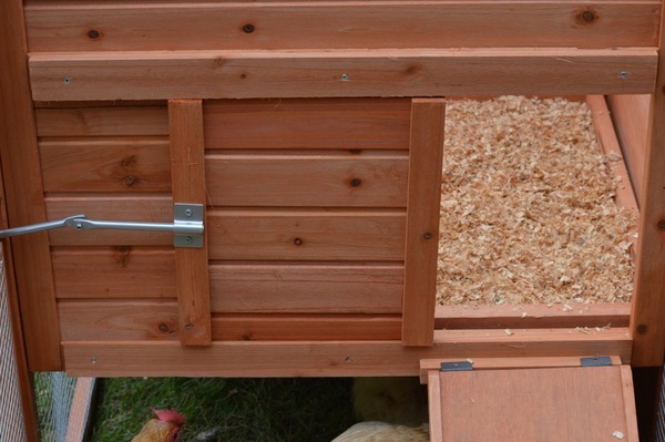 Image 11