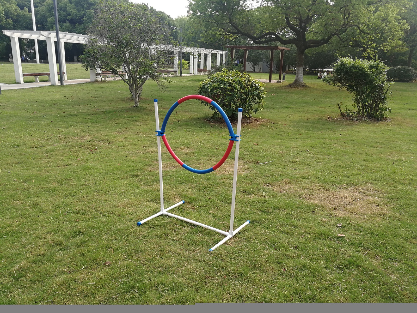 Image 2