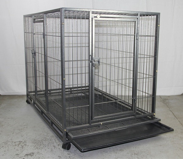 Image 4