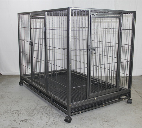 Image 6