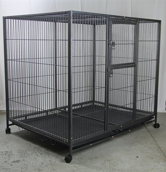 Image 4