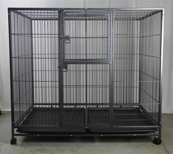Image 6