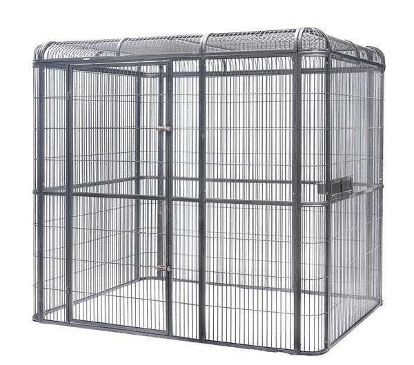 Image 2