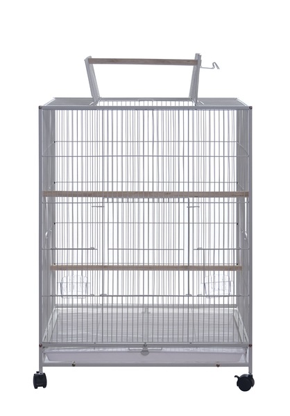Image 2