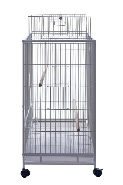 Image 7
