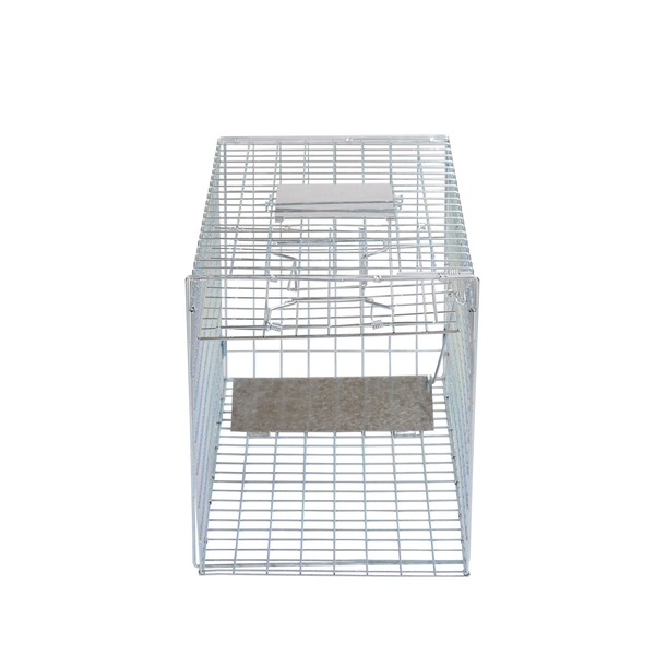 Image 4