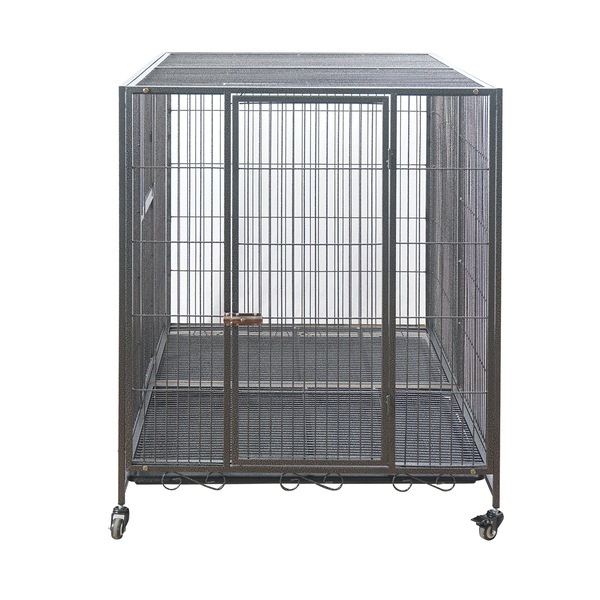Image 4