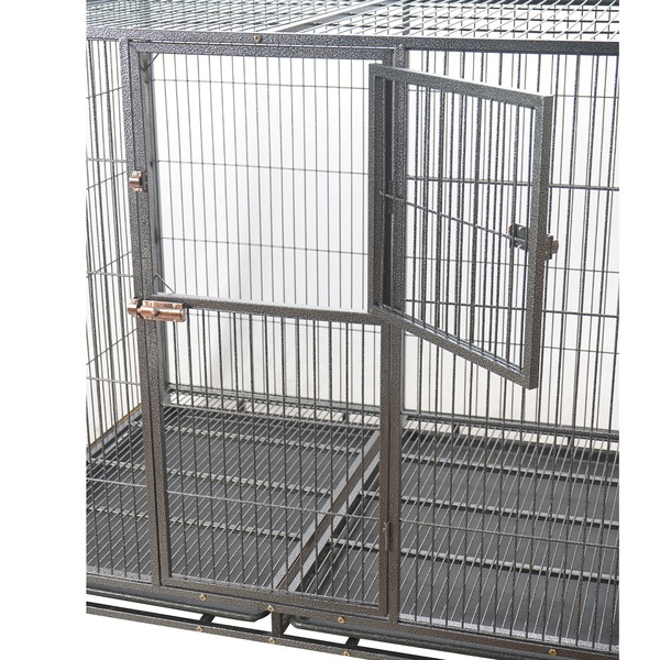 Image 6