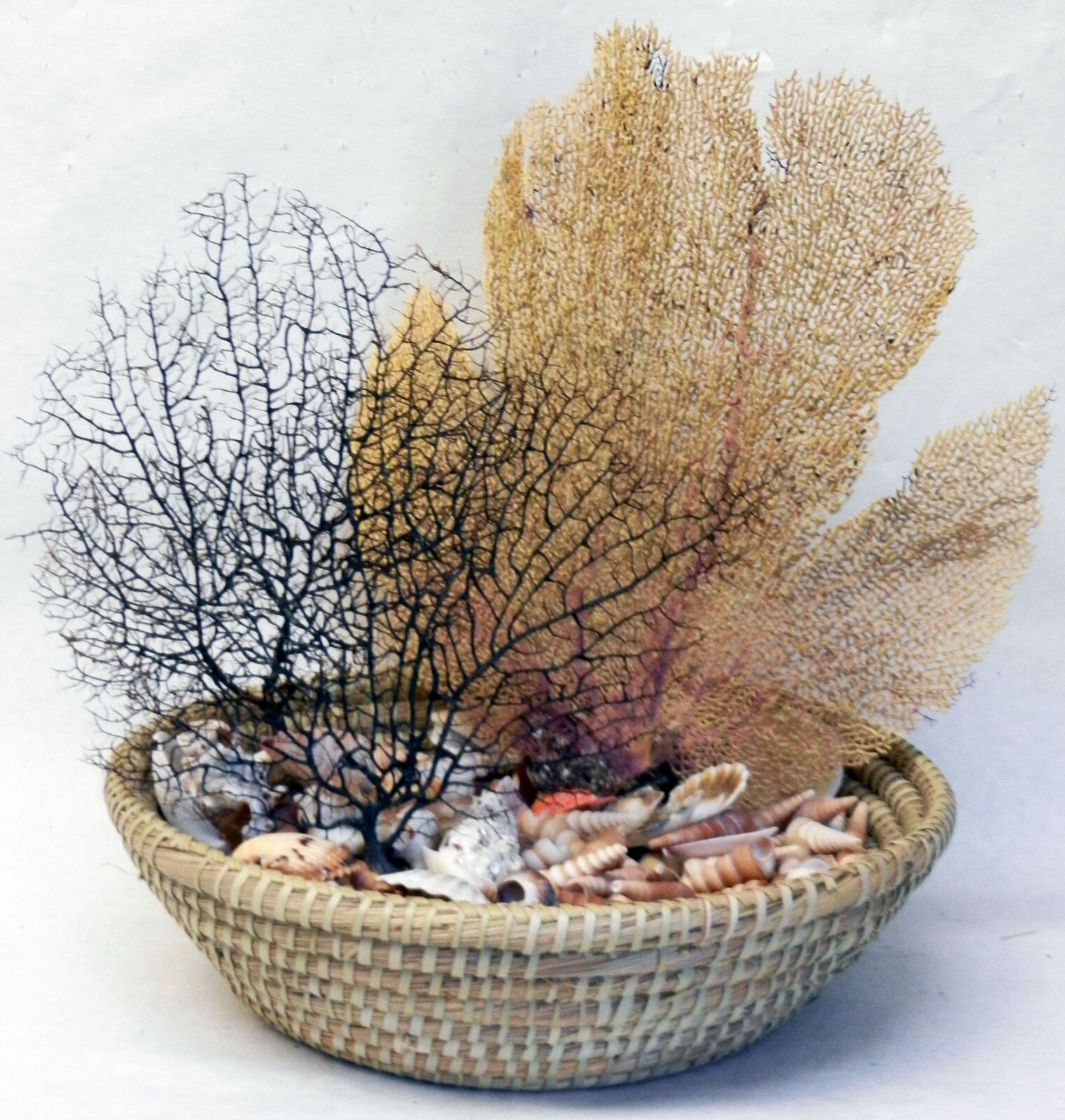 Image 10