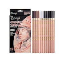 12pce Coloured Charcoal Pencils in Box Sketching and Drawing Skin Tones