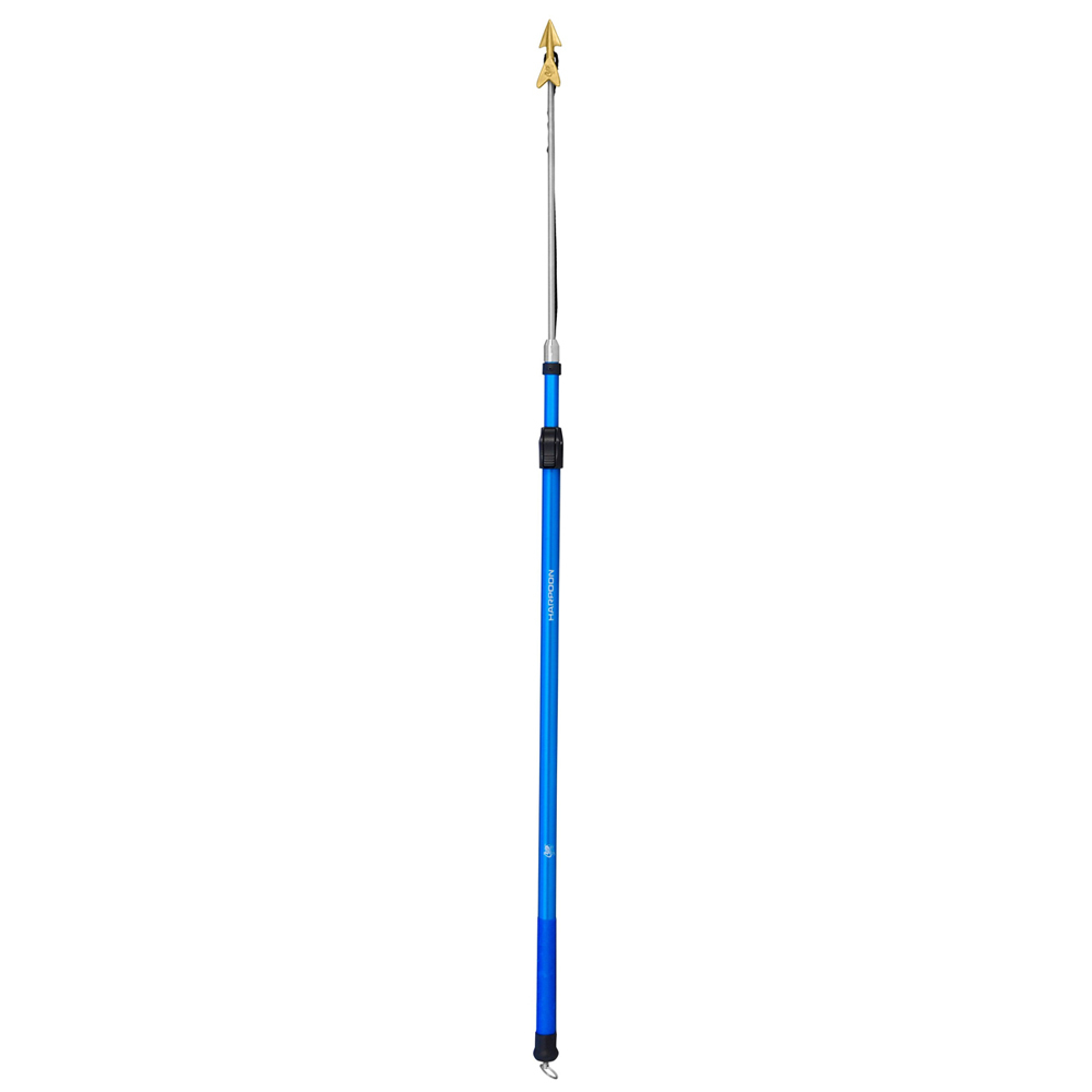 Image 10
