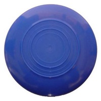 Flying Disc (AAC123664)