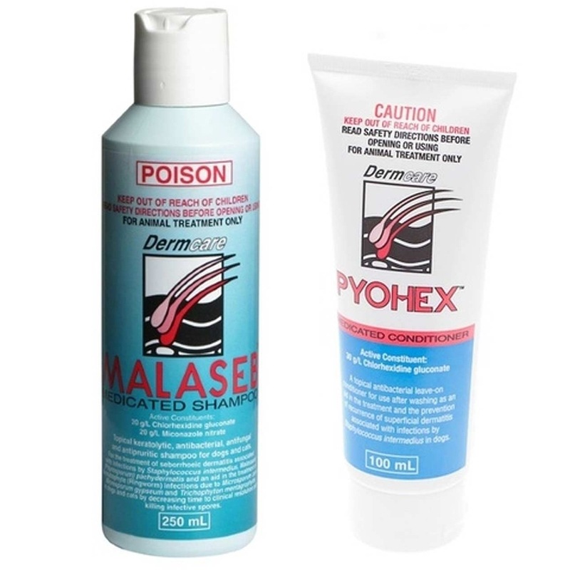 Buy Malaseb Medicated Dog Shampoo 250ml & Pyohex Conditioner 100ml