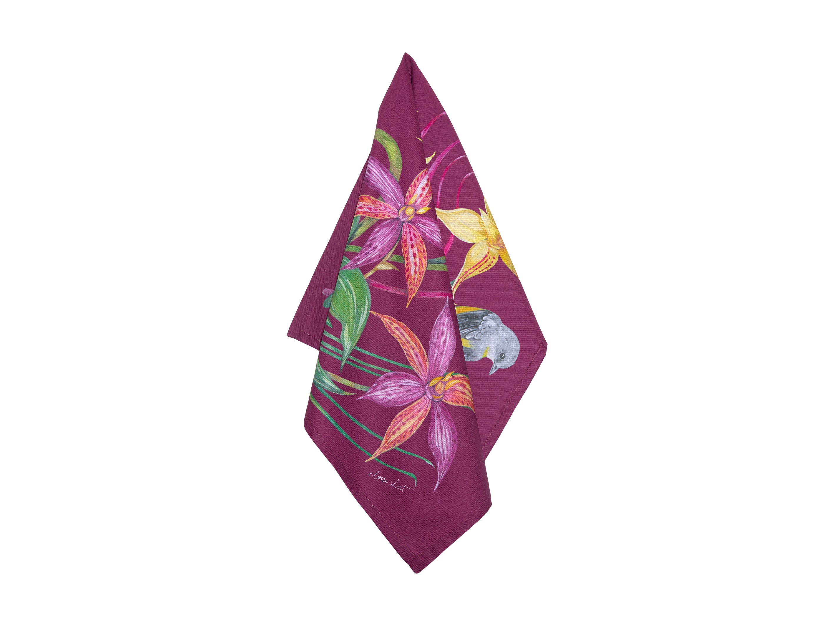 Image 2