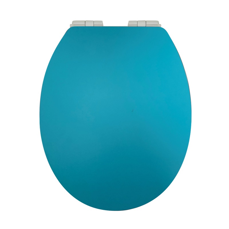 Buy Light Blue Vinyl Soft Close Toilet Seat MyDeal