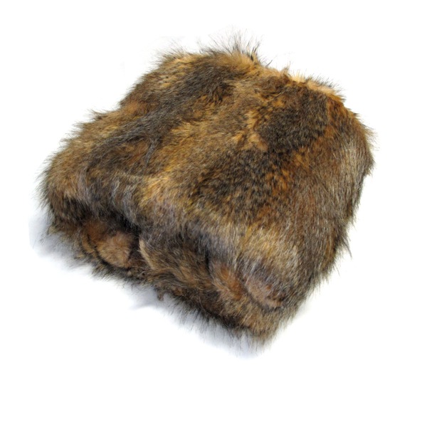 Image 21