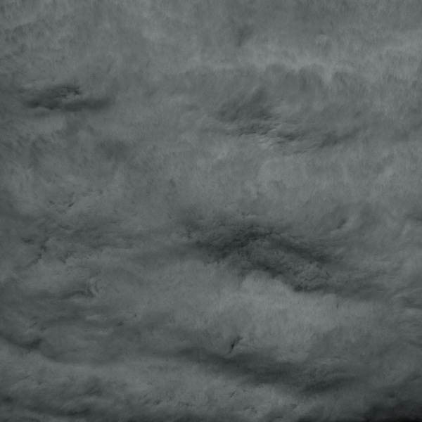 Image 16