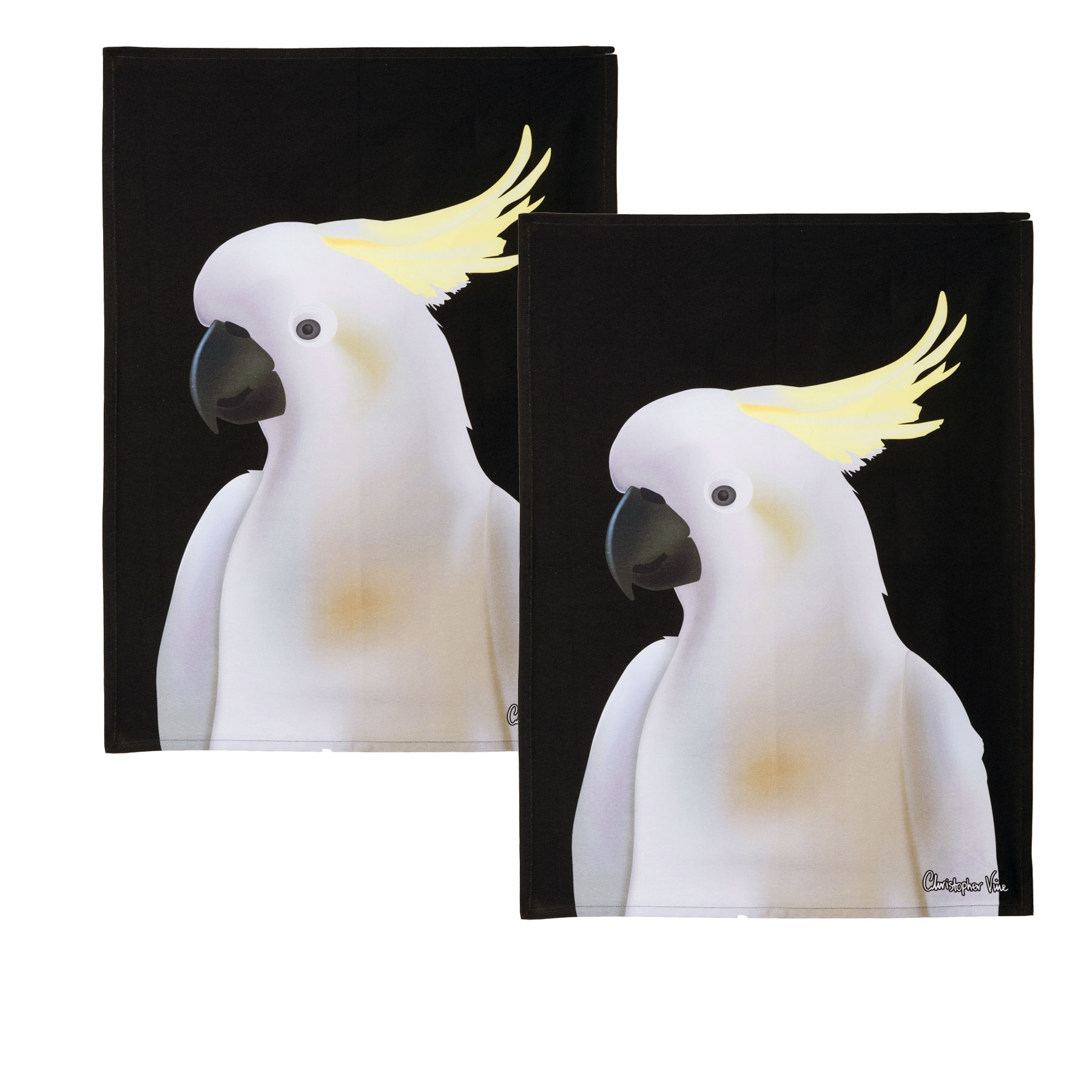 Image 11