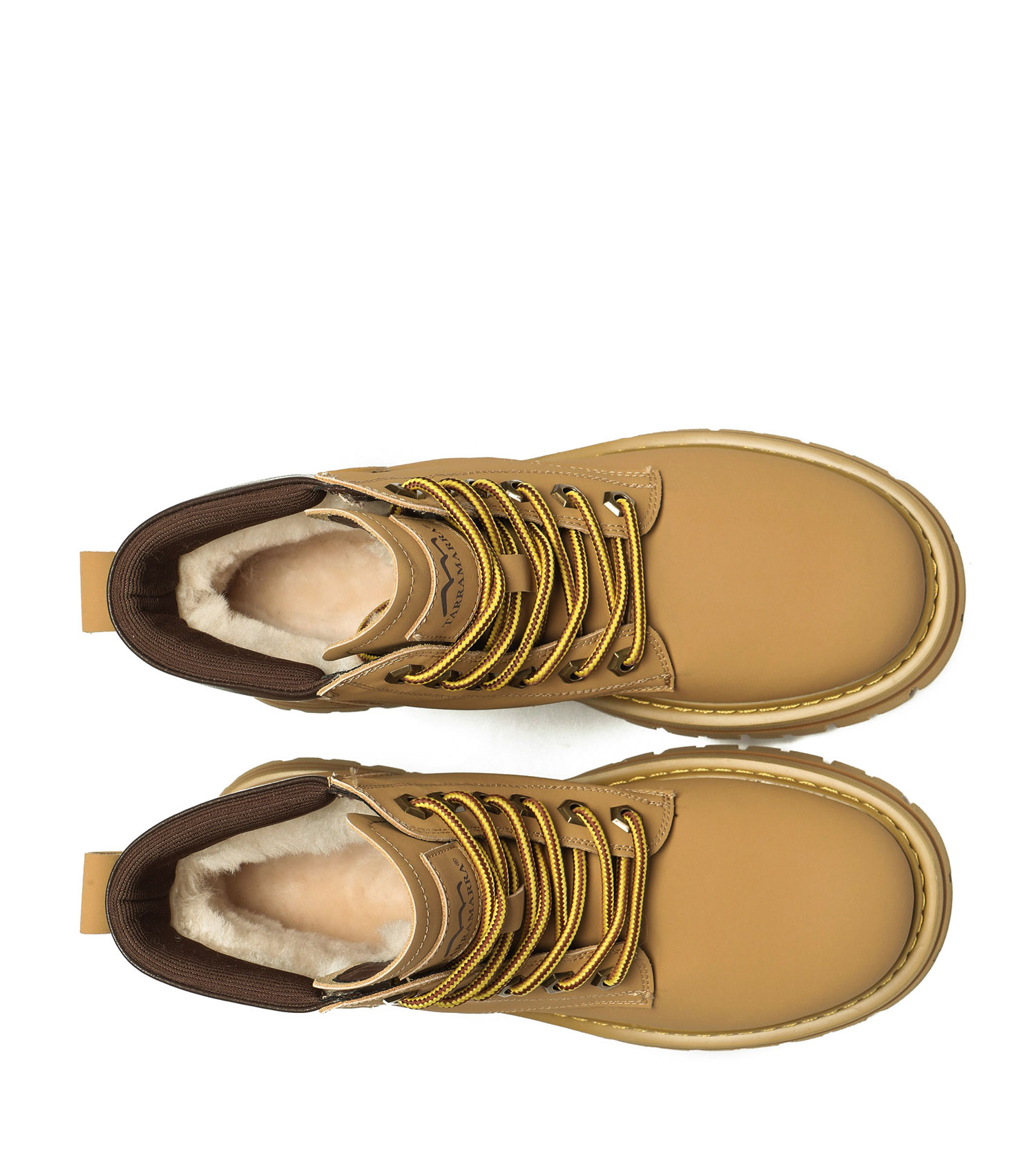 Image 5