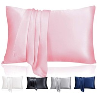 2 pcs Mulberry Silk Pillow Cases in Various Colors