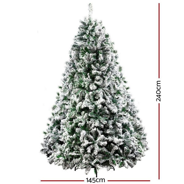 Image 6