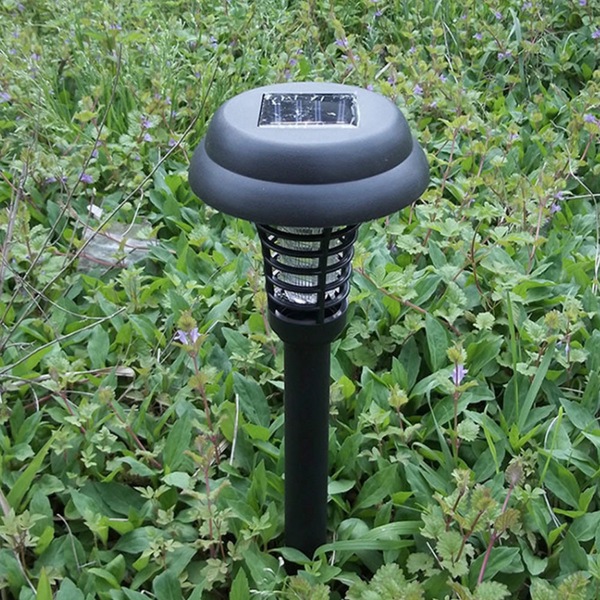 Image 11