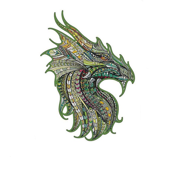 Image 19