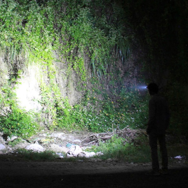 Image 12