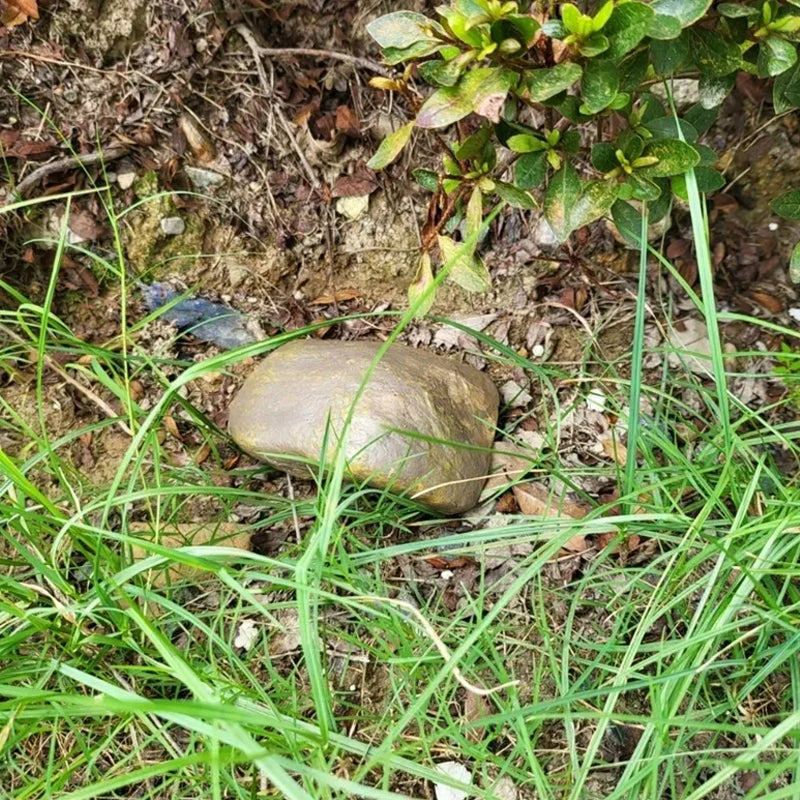 Image 8