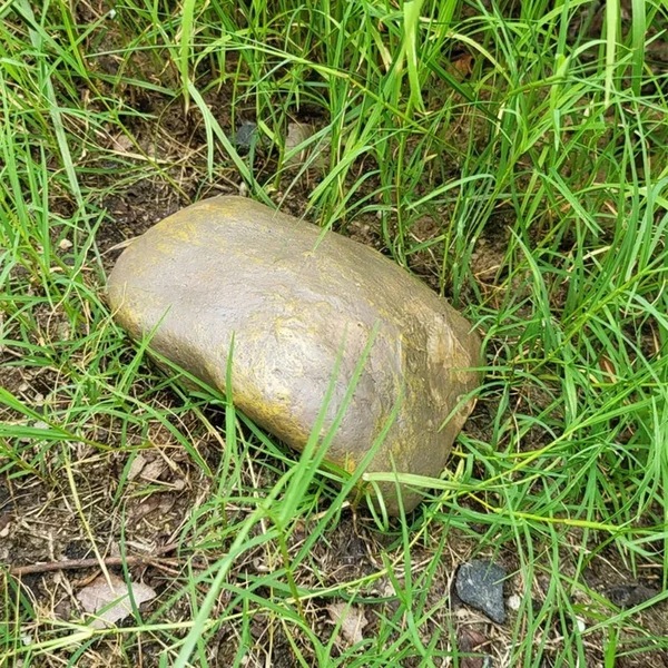 Image 9