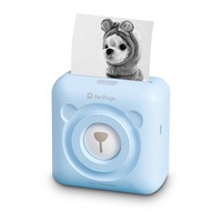 Portable Mini Pocket Thermal Paper Photo Printer - USB Charging