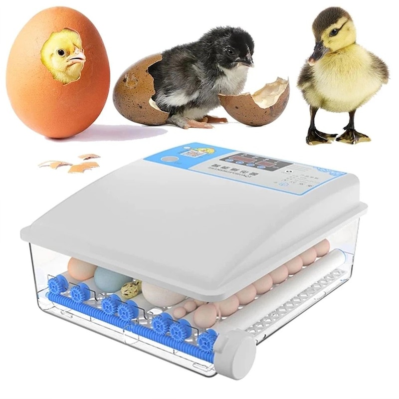 Buy 64 Eggs Fully Automatic Farm Incubator Chicken Bird Quail Incubator ...