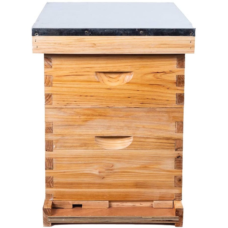 Buy Bee Hive Kits 20 Frame Langstroth Bee House Full Depth - MyDeal