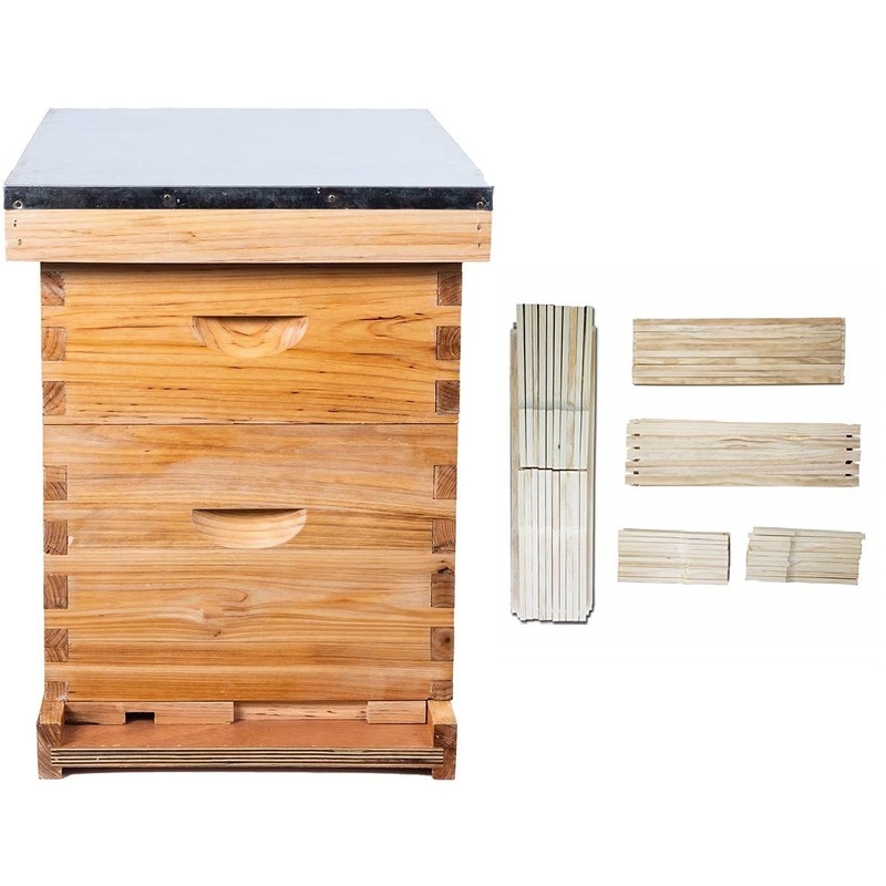 Buy Bee Hive Kits 20 Frame Langstroth Bee House with 10 Deep Brood Box ...