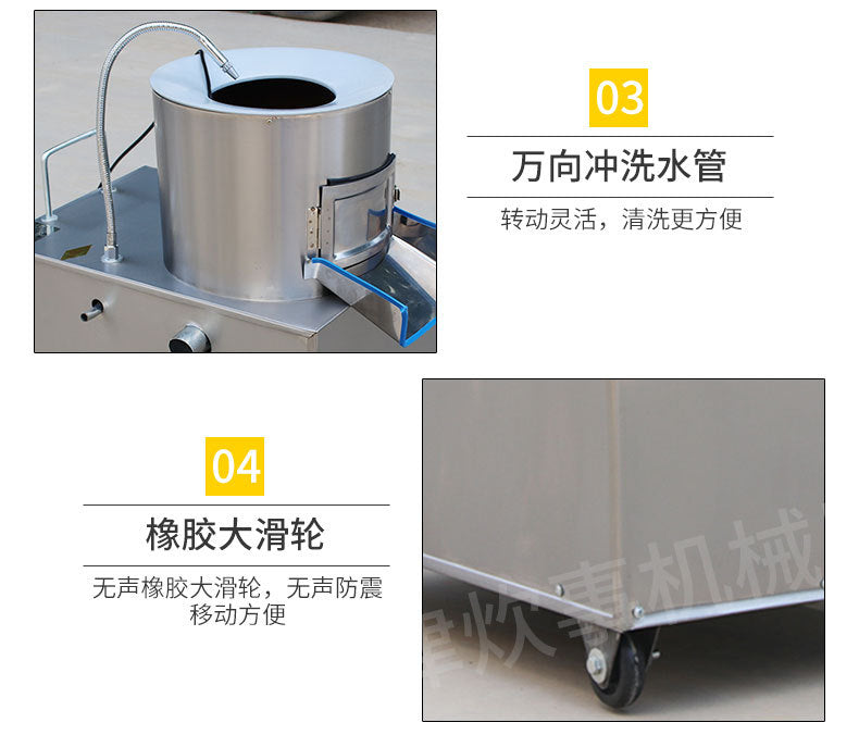 Image 5