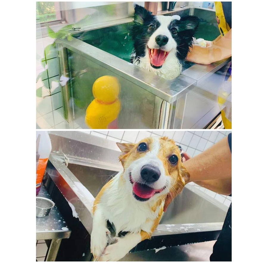 Dog Pet Grooming and Bath Tub Stainless Steel 80 cm Station