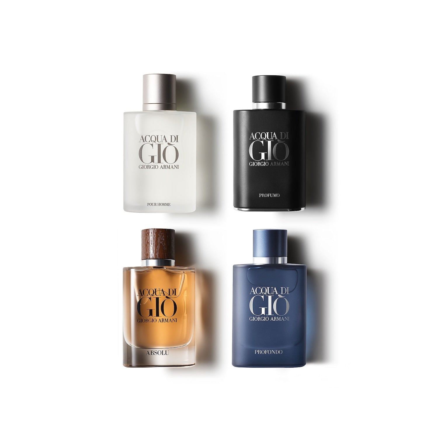 Acqua di gio absolu edp hot sale