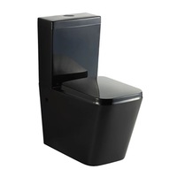 655*380*845mm Poseidon Qubist Ceramic Gloss Black Box Rim Back To Wall Toilet