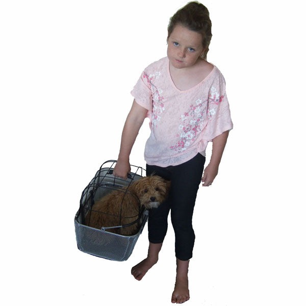 Image 3