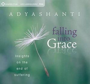 CD: Falling into Grace (9 CD)