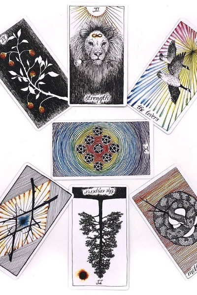 Image 5