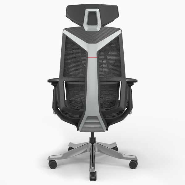 Image 4
