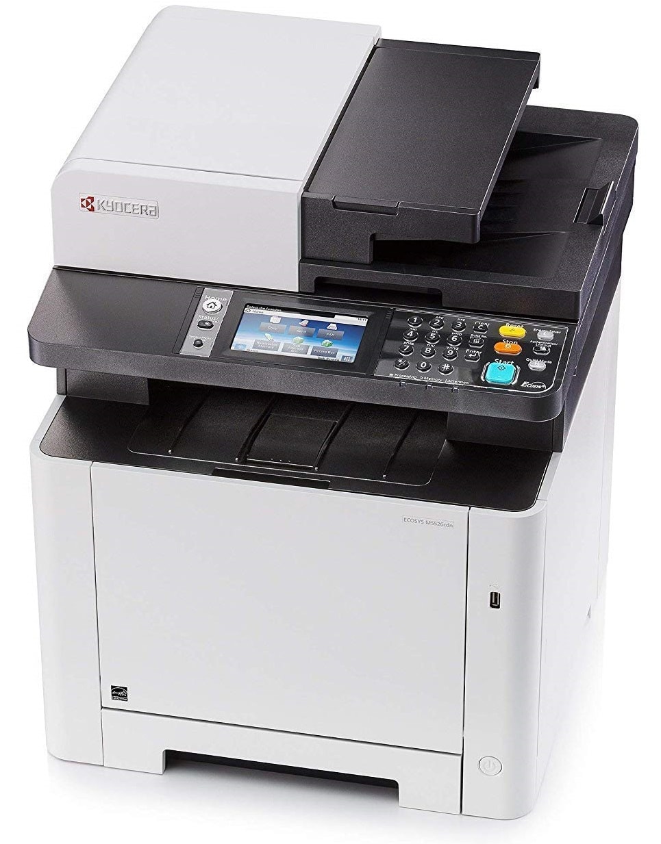 Image 4